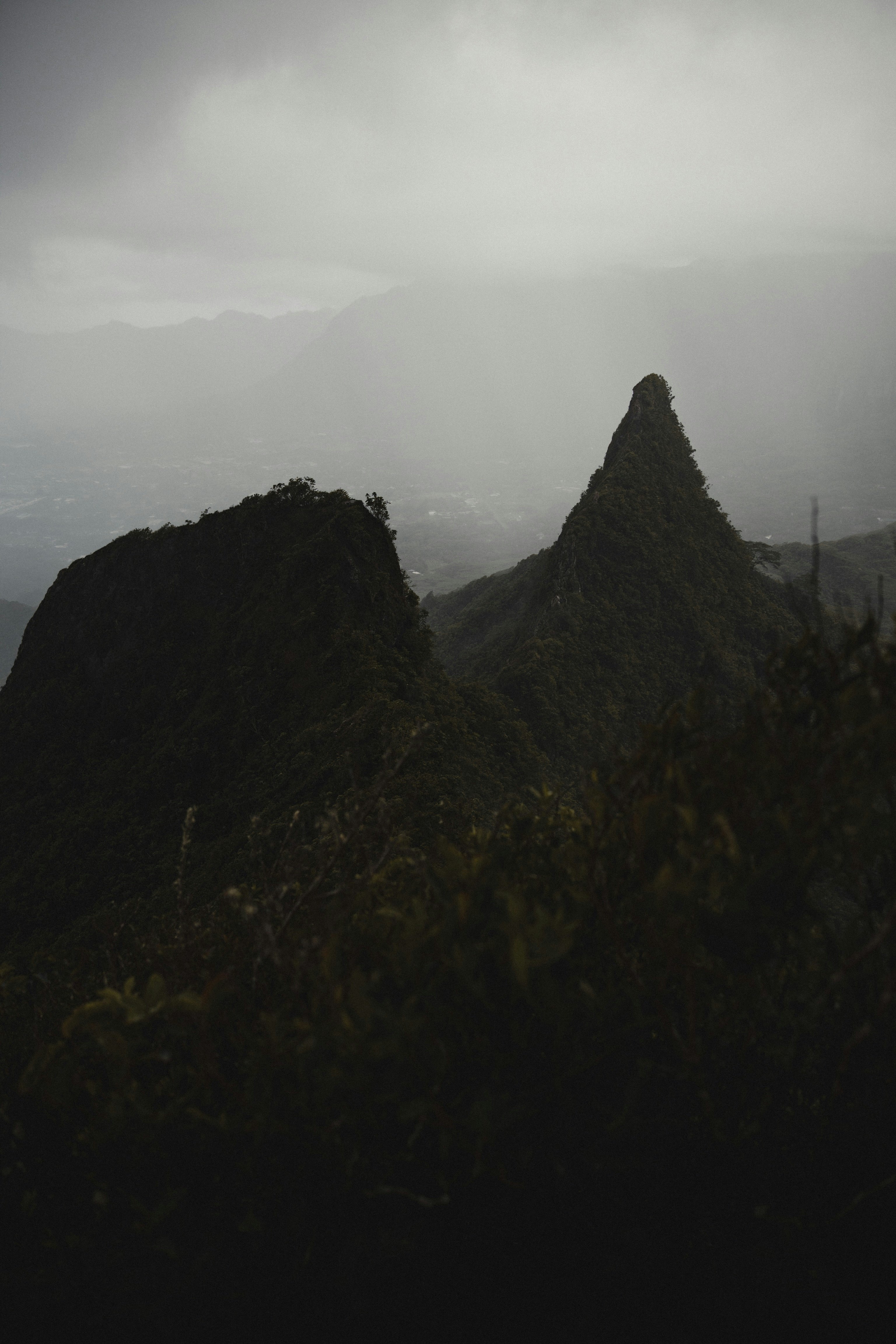 green trees on mountain during daytime